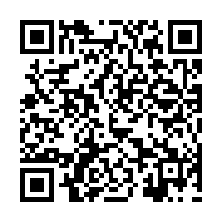QR code for XZM381