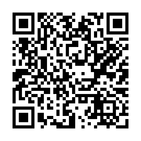 QR code for XZV393