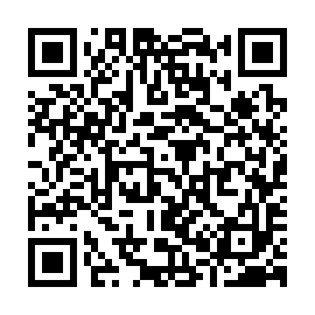 QR code for Y07393