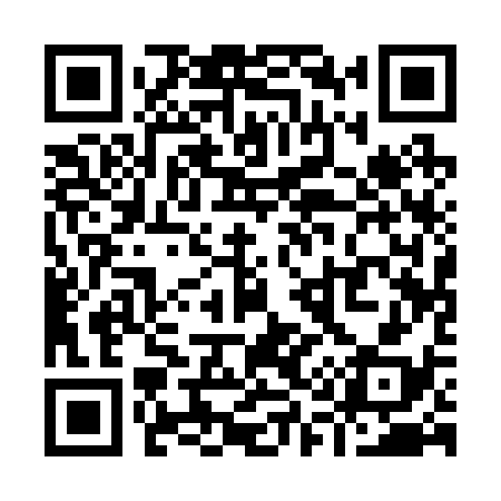 QR code for Y11238
