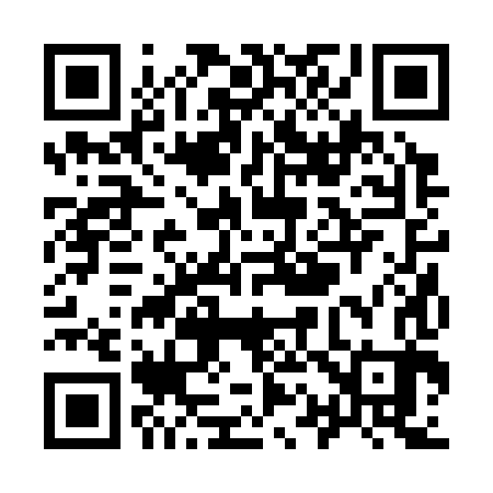 QR code for Y12383