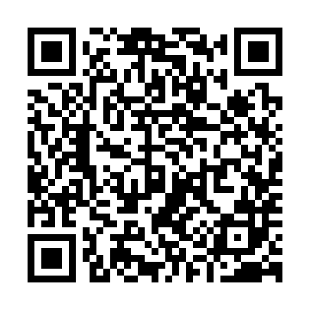 QR code for Y13382