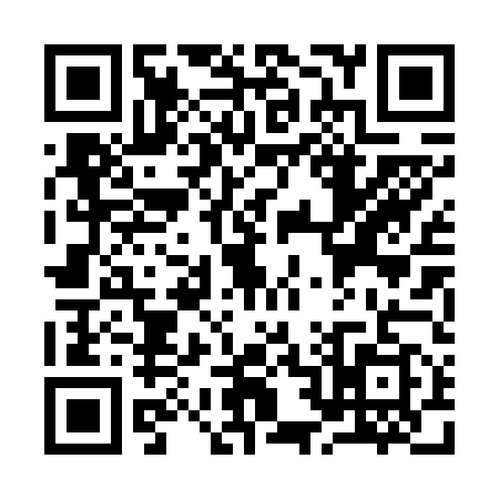 QR code for Y206597