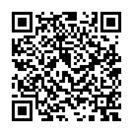 QR code for Y333500