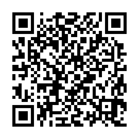 QR code for Y33383