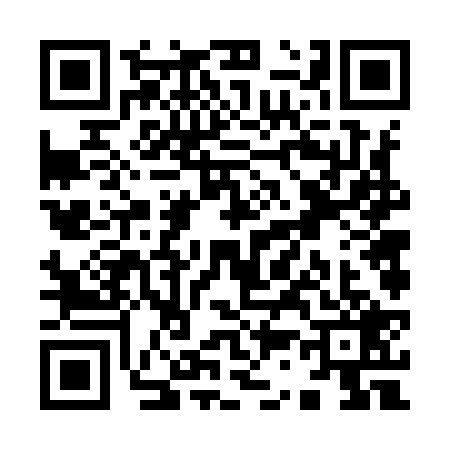 QR code for Y369295