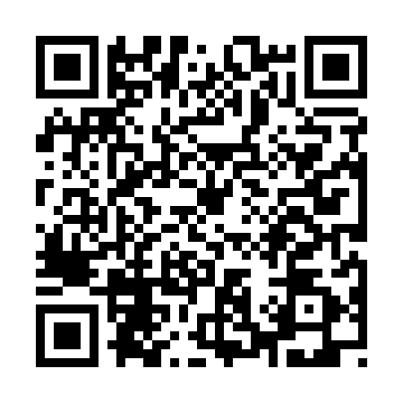 QR code for Y381828