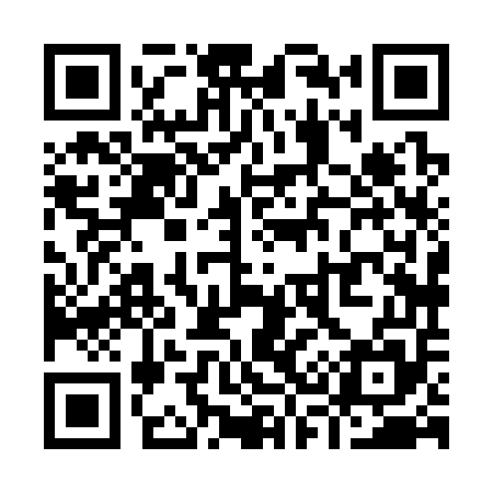 QR code for Y38355