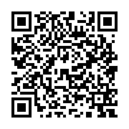 QR code for Y383617