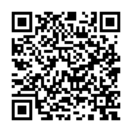 QR code for Y383771