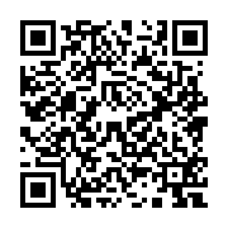 QR code for Y387125