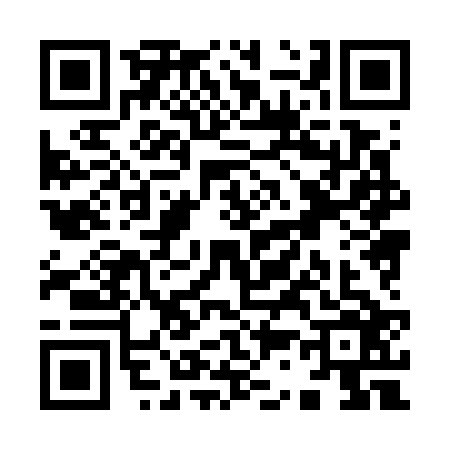 QR code for Y387267