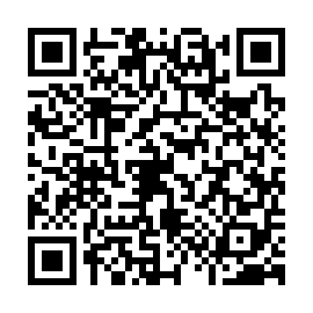 QR code for Y393585