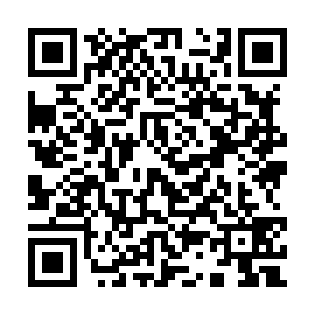 QR code for Y398393