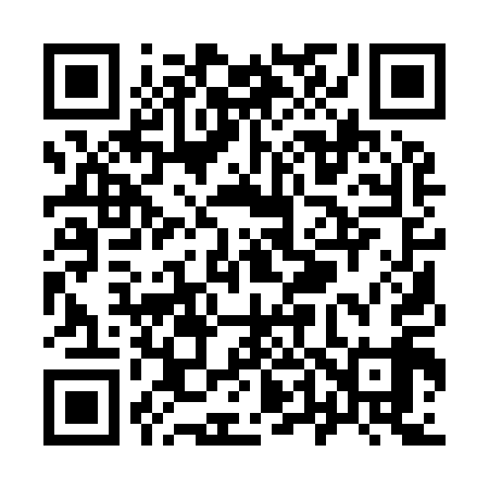 QR code for Y41919
