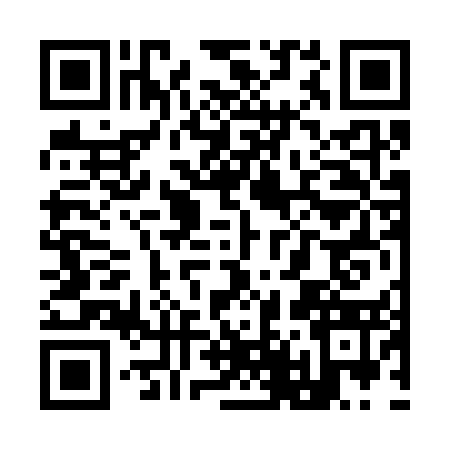QR code for Y463533