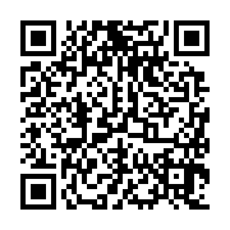 QR code for Y463871
