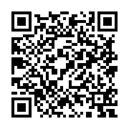 QR code for Y498118