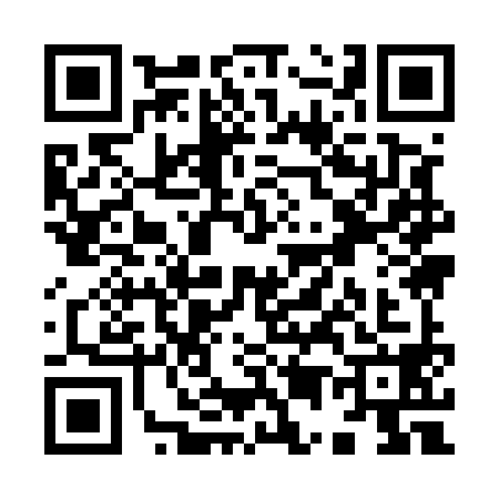 QR code for Y595985