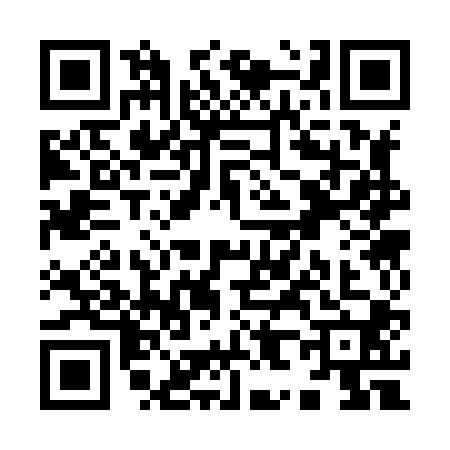 QR code for Y838001