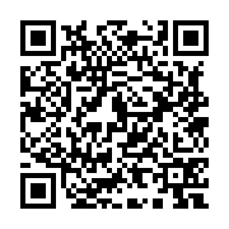 QR code for Y838741