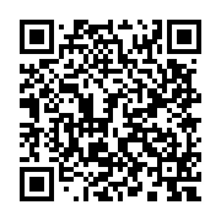 QR code for Y91595