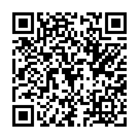 QR code for Y956863
