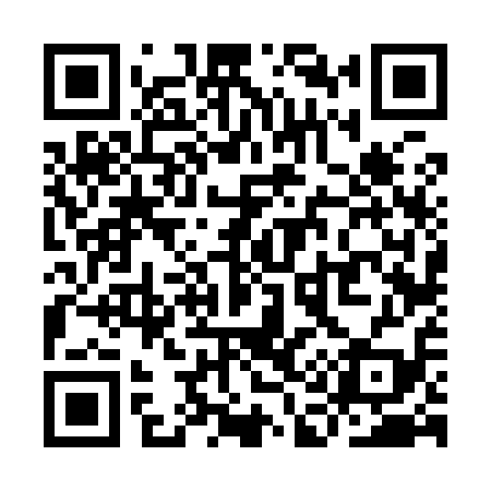 QR code for YA6919