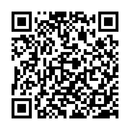 QR code for YAG310