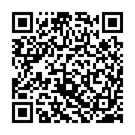 QR code for YBQ313