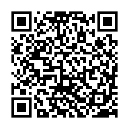 QR code for YBZ391