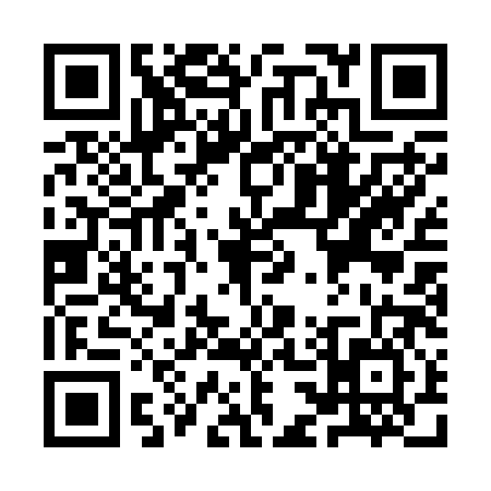 QR code for YC12863