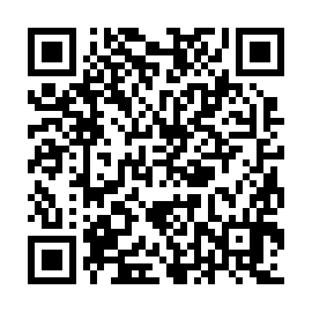 QR code for YDS294