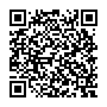 QR code for YE1393