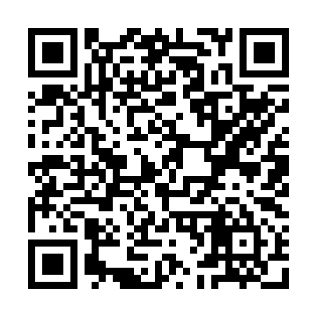 QR code for YF9295