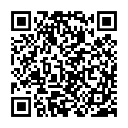 QR code for YG2463