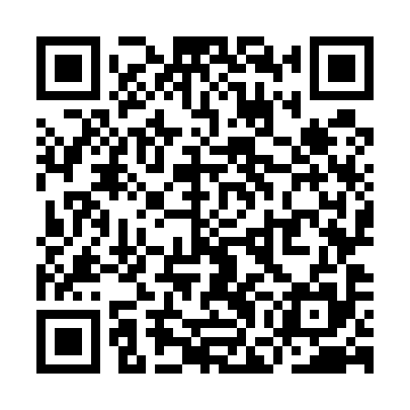 QR code for YGO595