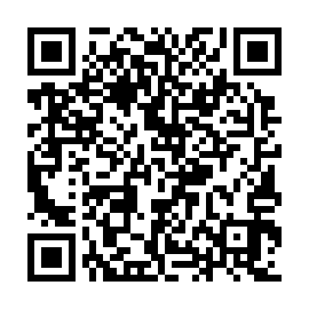 QR code for YHE313