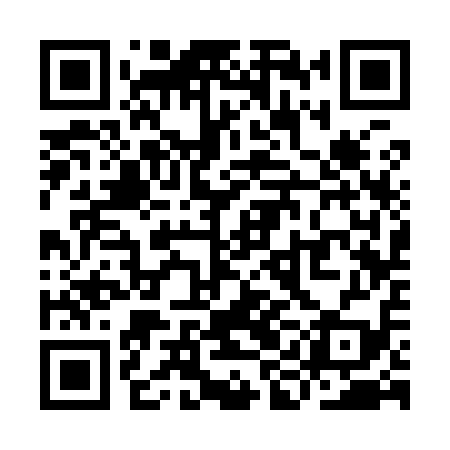 QR code for YIC919