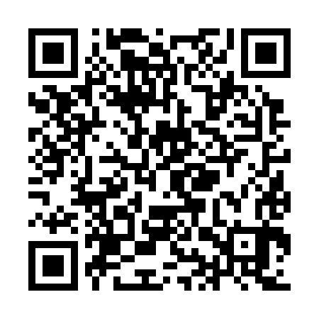 QR code for YIV383