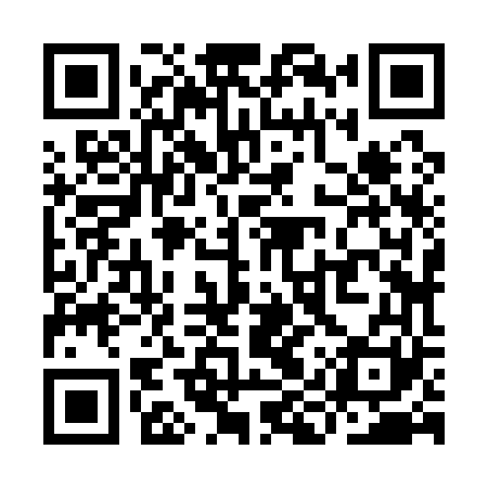 QR code for YIZ161