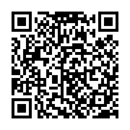QR code for YJ6441