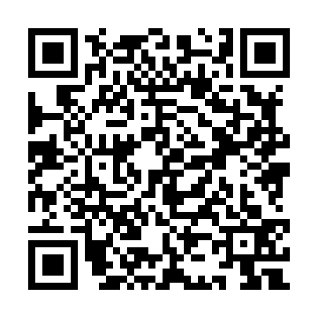 QR code for YJ88333