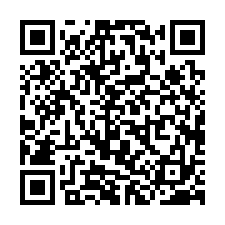 QR code for YL0333