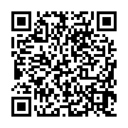 QR code for YL11825