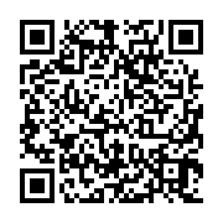 QR code for YL31007
