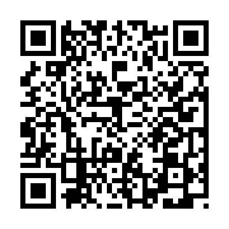 QR code for YL65495