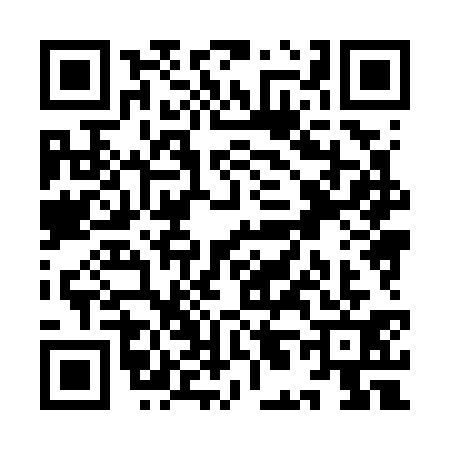 QR code for YL87312