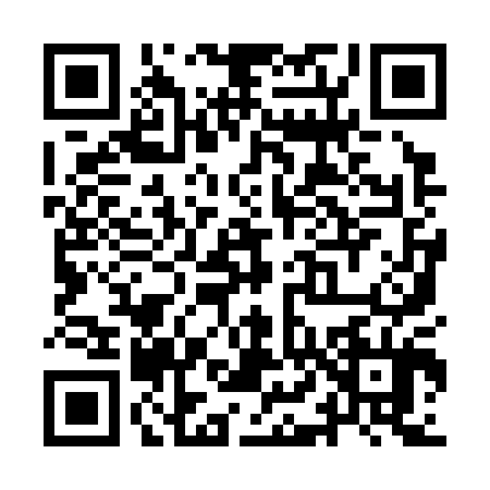 QR code for YL93046
