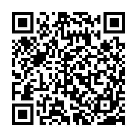 QR code for YL9317